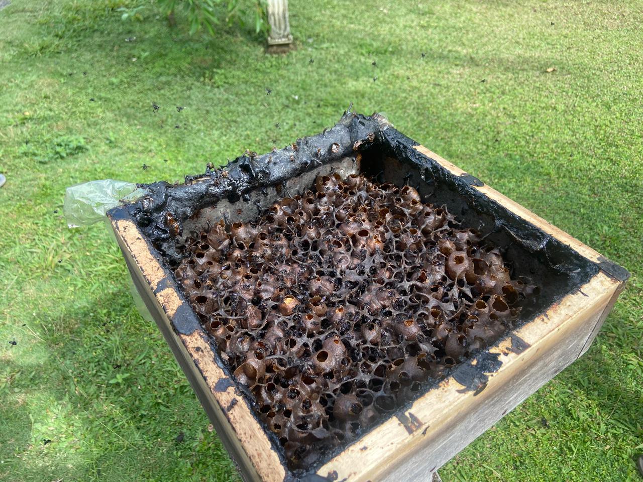 Harvesting